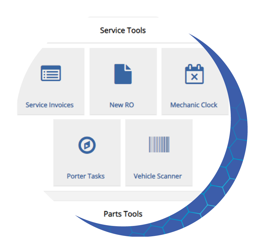 P&S-34 The Motility Team
