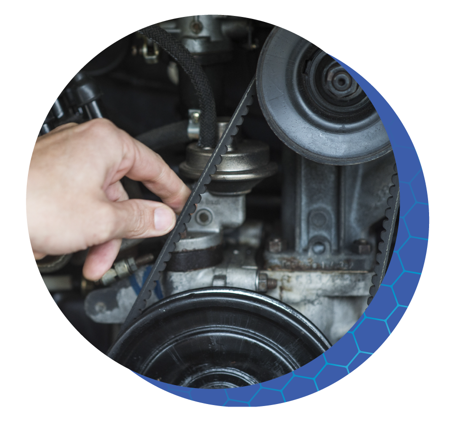 P&S-35 The Motility Team